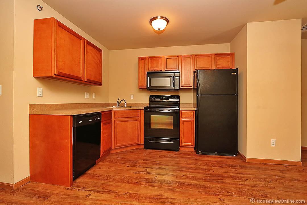 Olive 547 - Photo 4 of 10