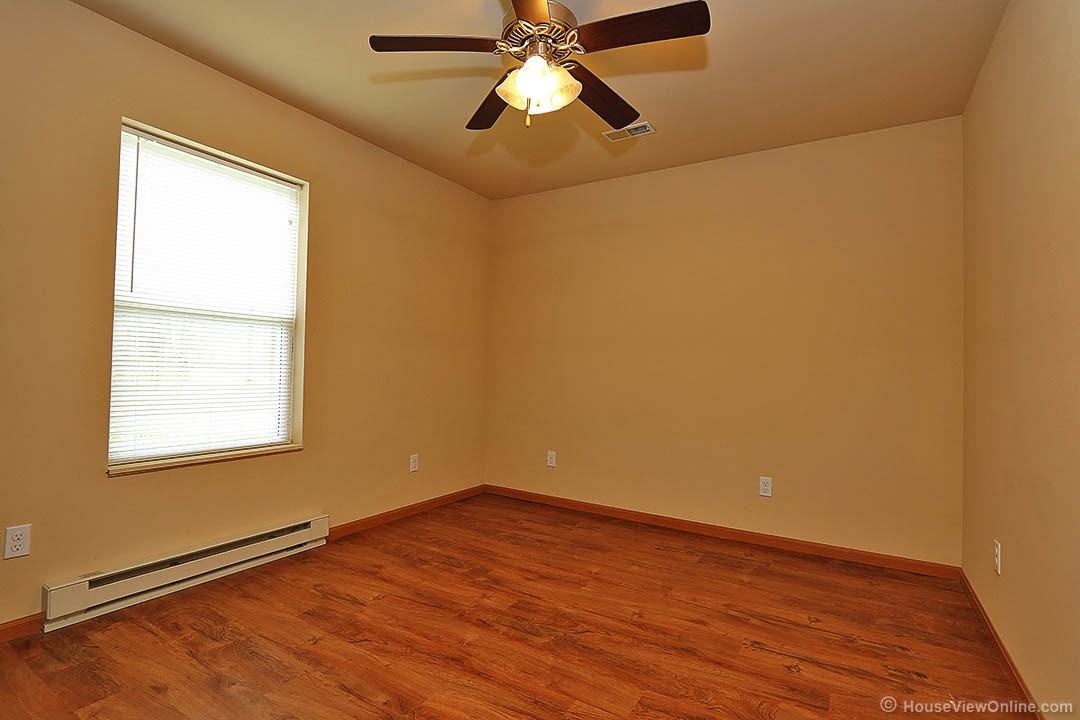 Olive 547 - Photo 5 of 10