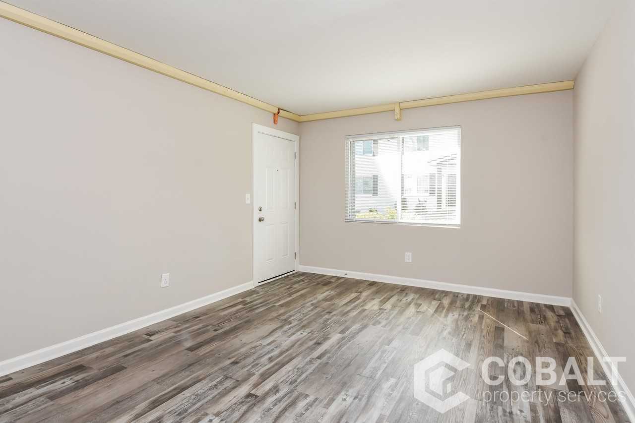 3586 Jackson Street #D1 - Photo 6 of 17
