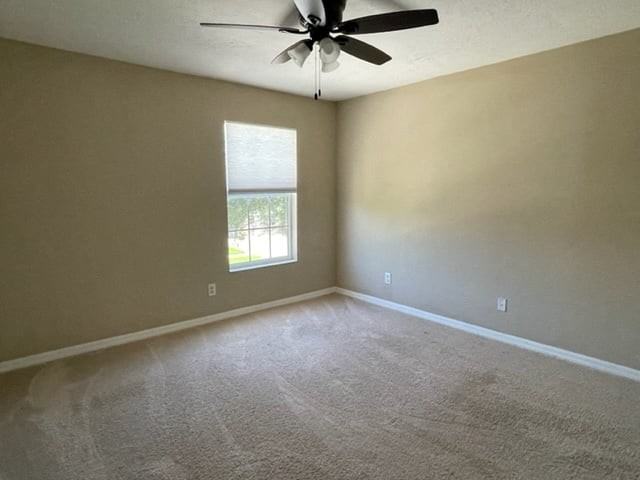 2463 Carnation Ct - Photo 5 of 17