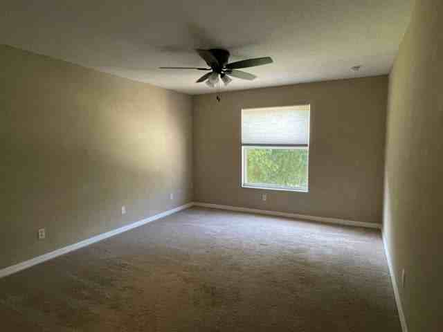 2463 Carnation Ct - Photo 6 of 17