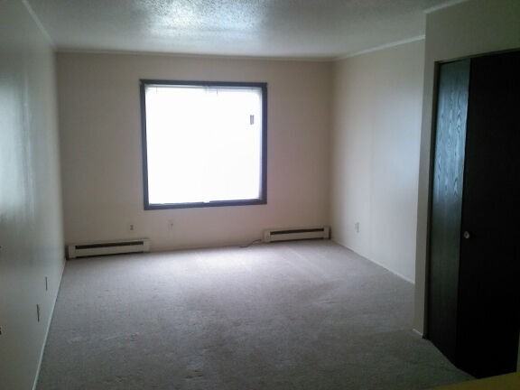 Emerald Forest - Photo 2 of 3