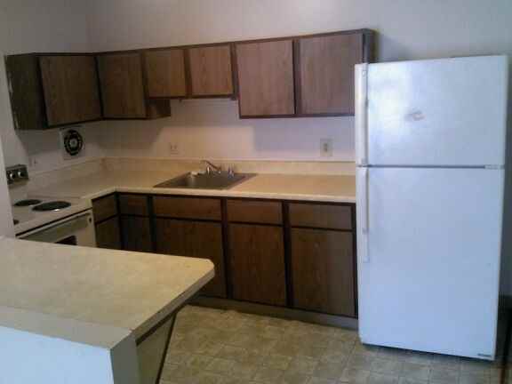 Emerald Forest - Photo 3 of 3