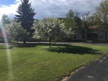 Empire Townhouses - Photo 1 of 1