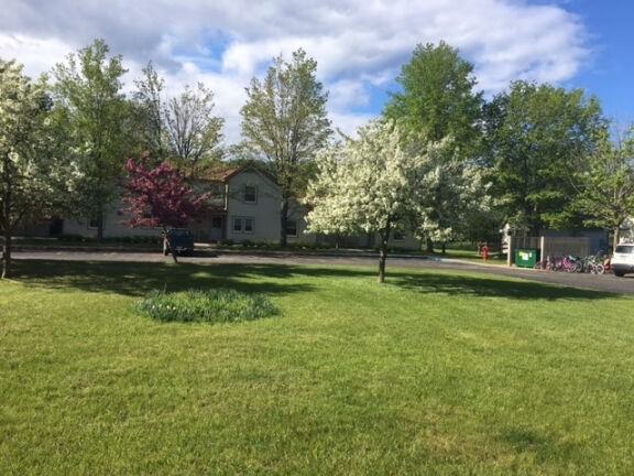 Empire Townhouses - Photo 4 of 8