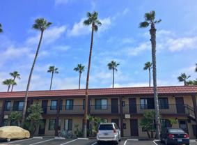 Imperial Palms - South - Photo 1 of 1
