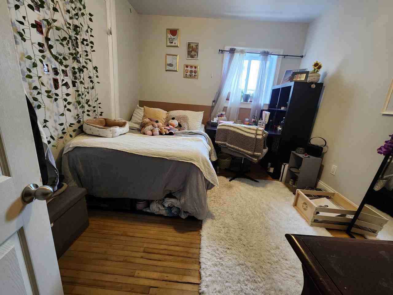 244 Sydenham St #1 - Photo 3 of 11