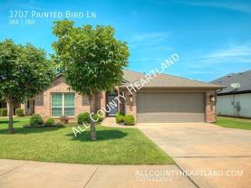 3707 Painted Bird Ln - Photo 1 of 1