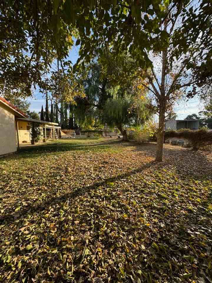 30303 Stephanie St - Photo 2 of 33