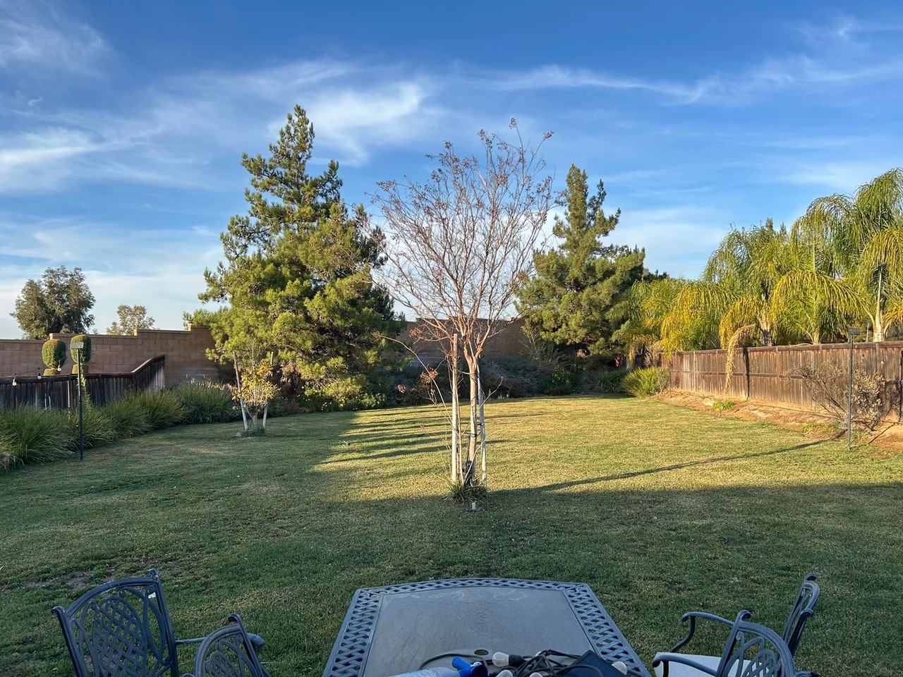 38240 Mulligan Dr - Photo 3 of 11