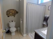 123 North Main St. - Photo 1 of 1