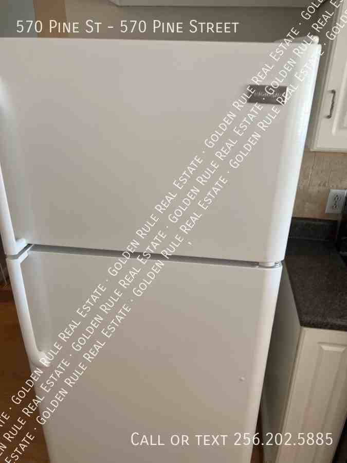 570 Pine St - Photo 3 of 21