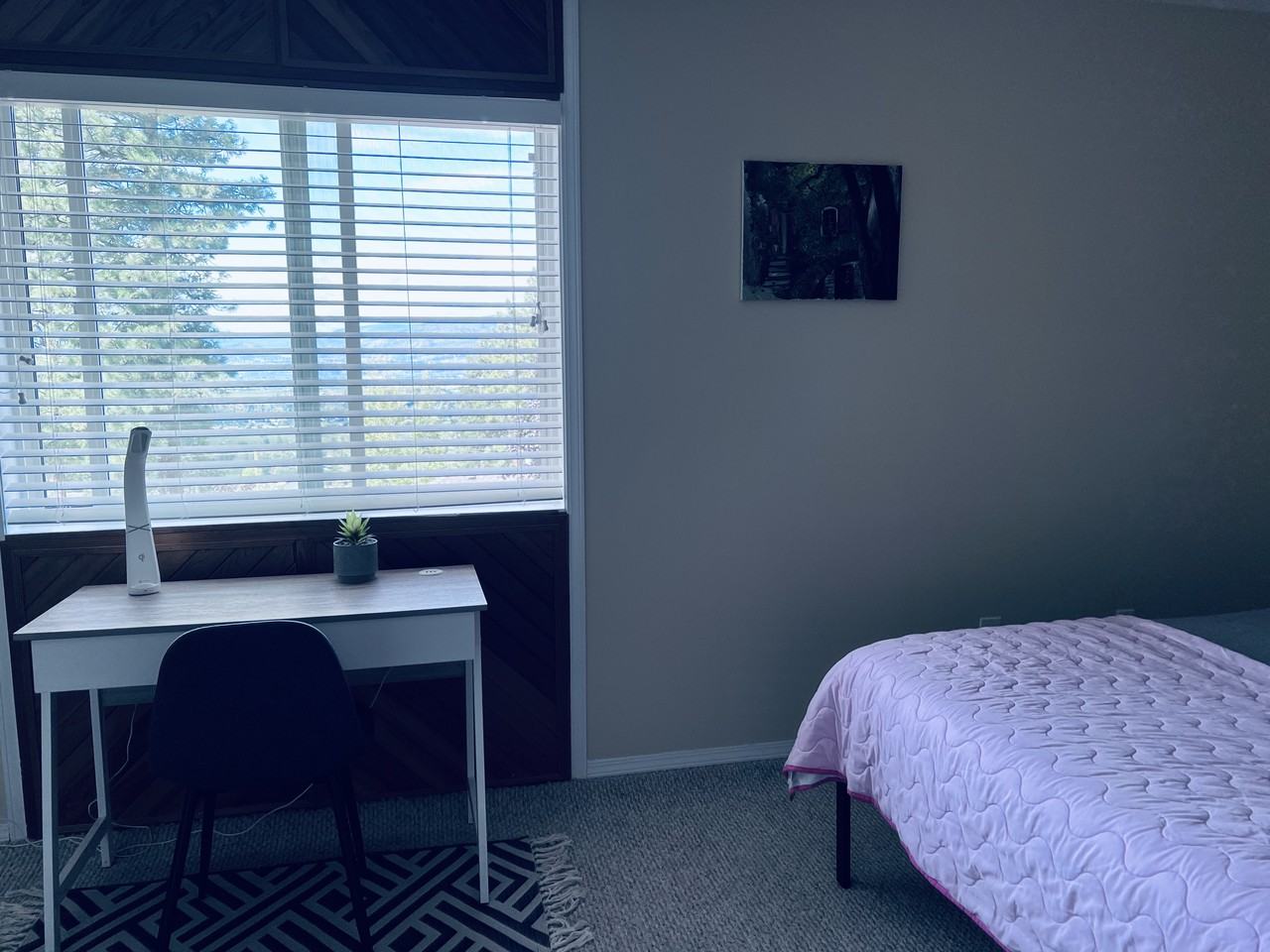 904 Lone Pine Drive 2 - Photo 3 of 10