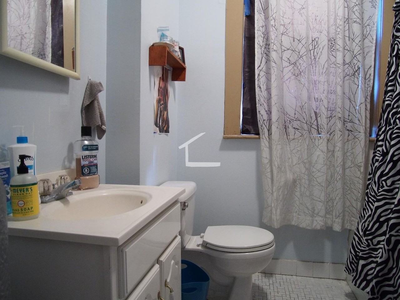 66 Egmont Street - Photo 2 of 6