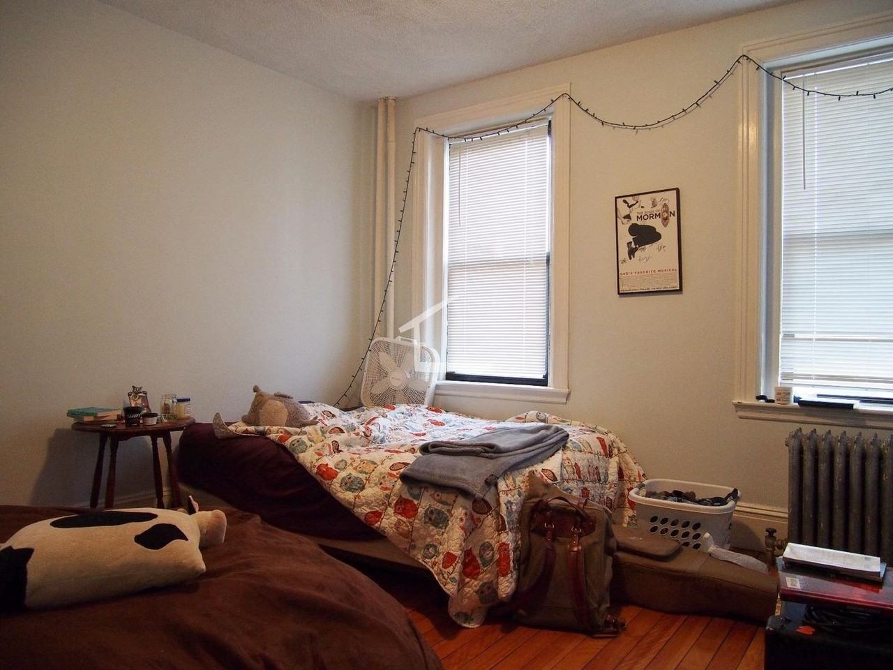 66 Egmont Street - Photo 6 of 6