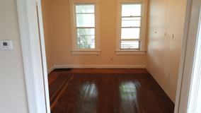 Chestnut 1330 - Photo 1 of 1