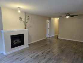 4723 Dawson St #308 - Photo 1 of 1