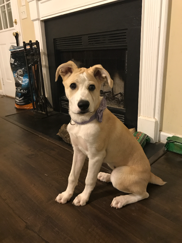 4845 Clarksville Hwy - Photo 3 of 4