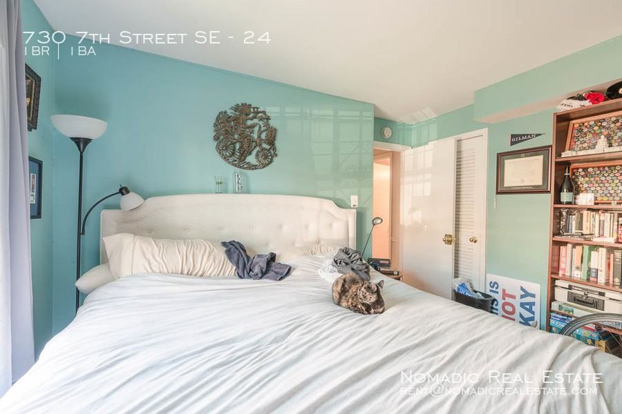 730 7th St Se Apt 24 #24 - Photo 5 of 7