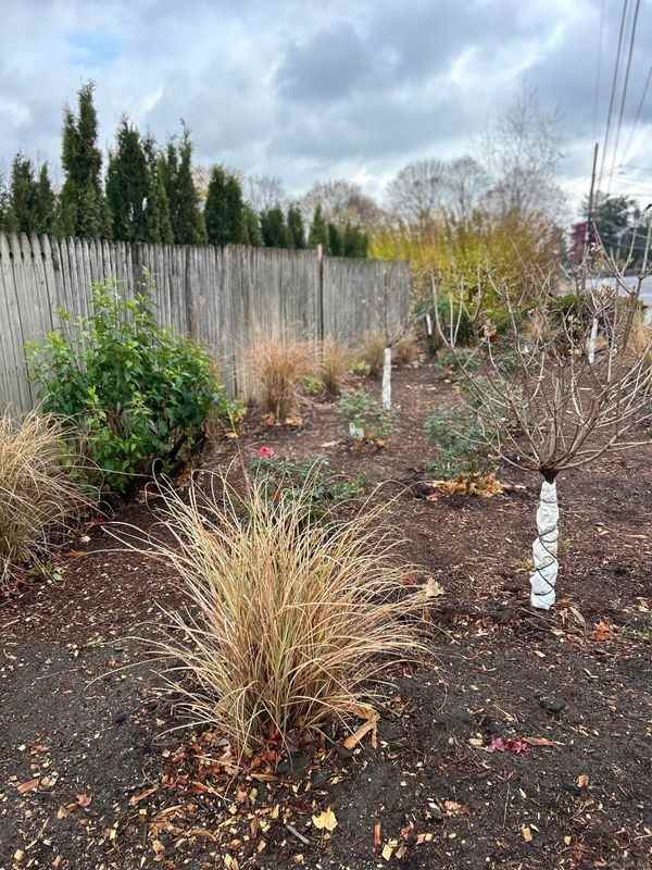 13 Leuvine St - Photo 3 of 24