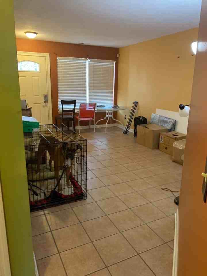 3726 Fetlock Dr - Photo 5 of 17