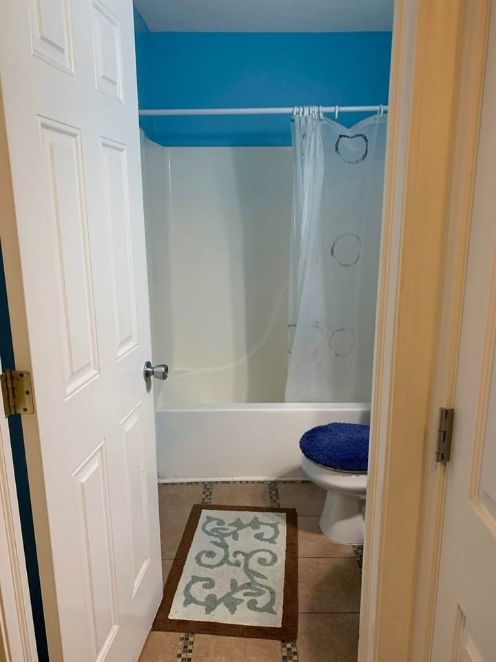 3726 Fetlock Dr - Photo 6 of 17