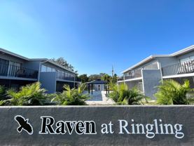 Raven at Ringling - Photo 1 of 1