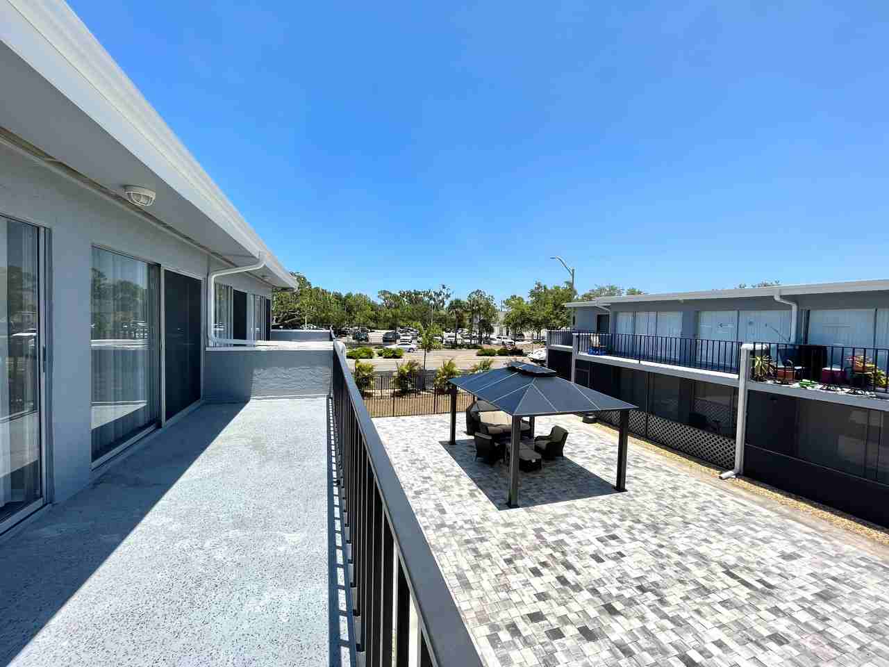 Raven at Ringling - Photo 3 of 6