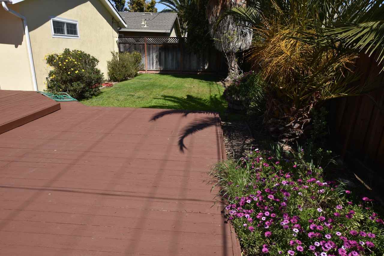 936 Orchid Way - Photo 3 of 50