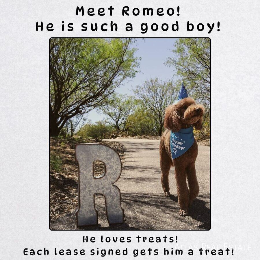 1365 N Culpepper Ave - Photo 3 of 23