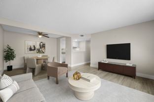 Sherwood Forest Apartments - Photo 1 of 1