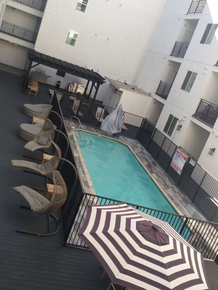 The Ivy at NOHO - Photo 3 of 37