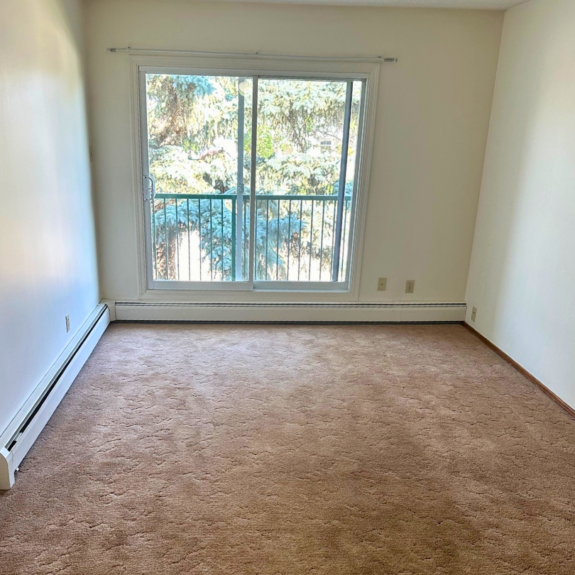 10601 100 St #317 - Photo 3 of 9