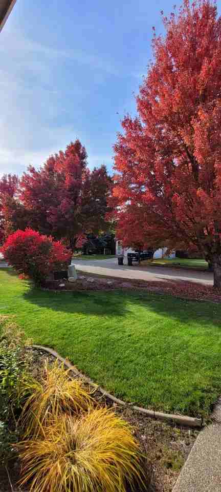 5812 N Toulon Dr - Photo 4 of 38