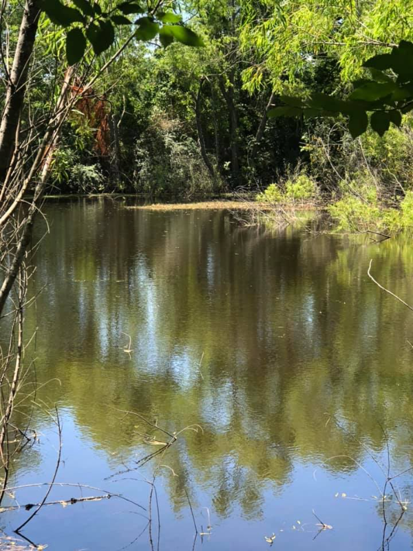 700 Fm #2B - Photo 2 of 4