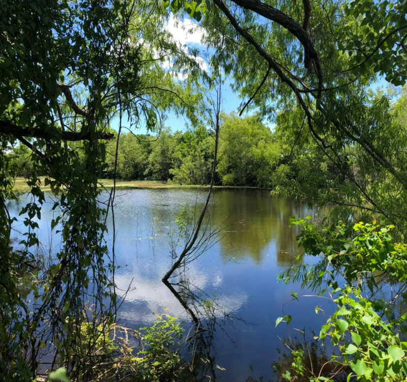 700 Fm #2B - Photo 3 of 4