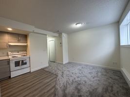 featured image of 11903 93 St Nw Bsmt 1 #BS1