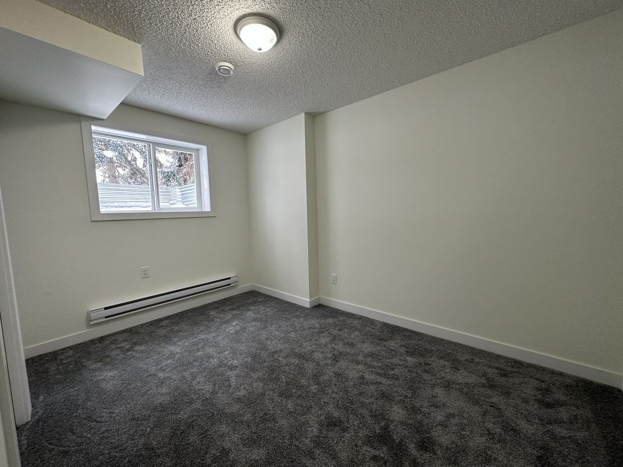 11903 93 St Nw Bsmt 1 #BS1 - Photo 4 of 9