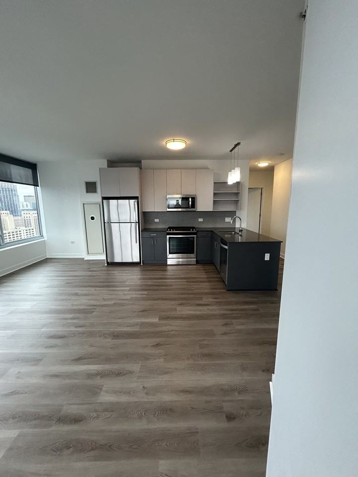 901 S Wells St #1108 - Photo 4 of 13