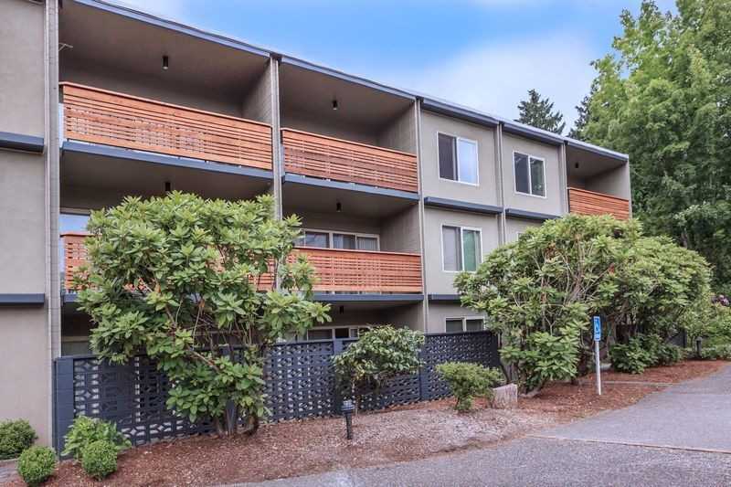 Andante - Photo 6 of 34