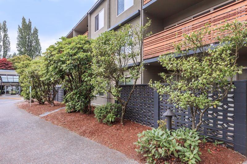 Andante - Photo 7 of 34