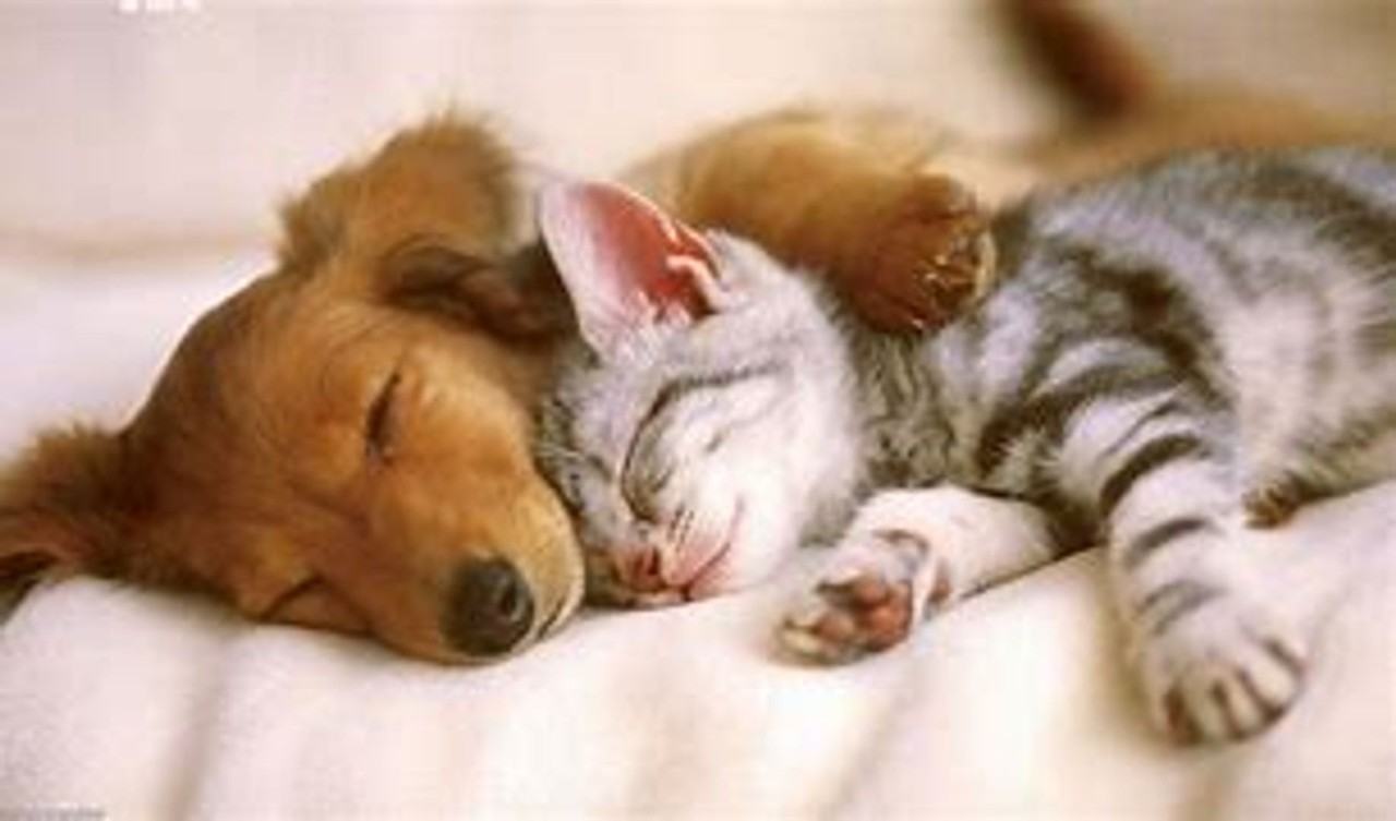 Fairways II - Photo 7 of 28