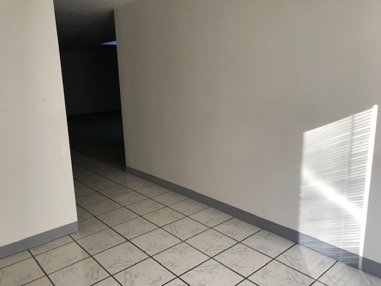 303 Seneca Ln - Photo 3 of 13