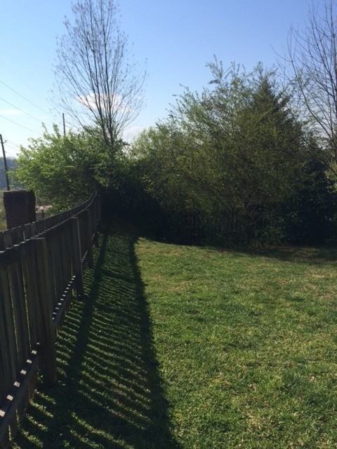 6801 Avensong Ln - Photo 3 of 9