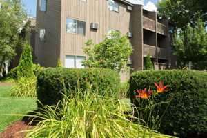 featured image of 10 Center St