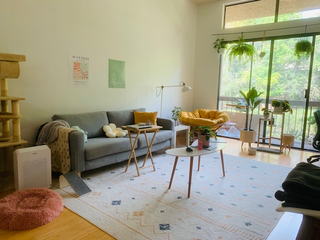 3961 Via Marisol - Photo 5 of 20