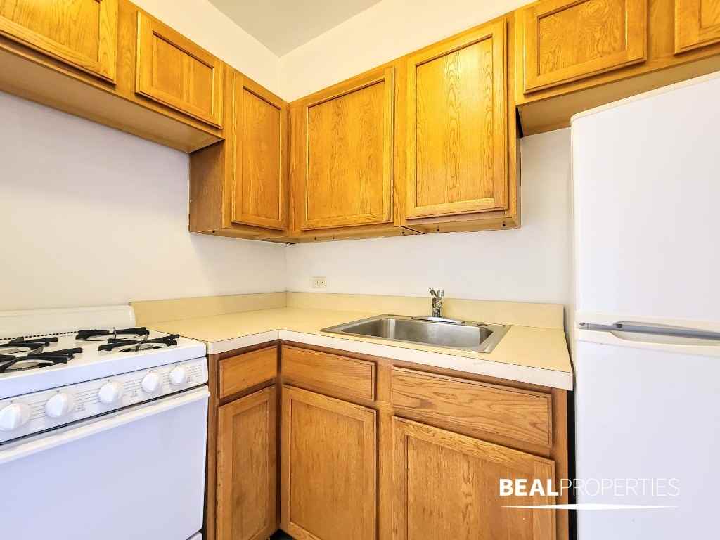 1164 N Dearborn St - Photo 3 of 11