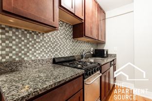 425 W Roscoe St #509 - Photo 1 of 1