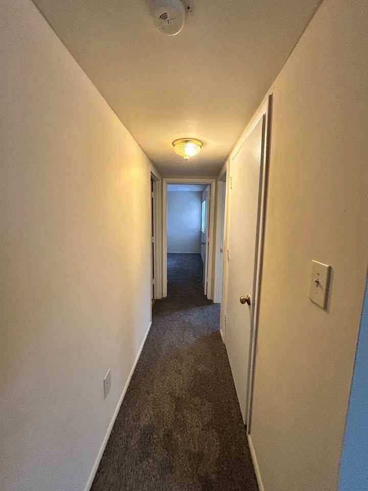 Live Oaks Apartments - Photo 7 of 13