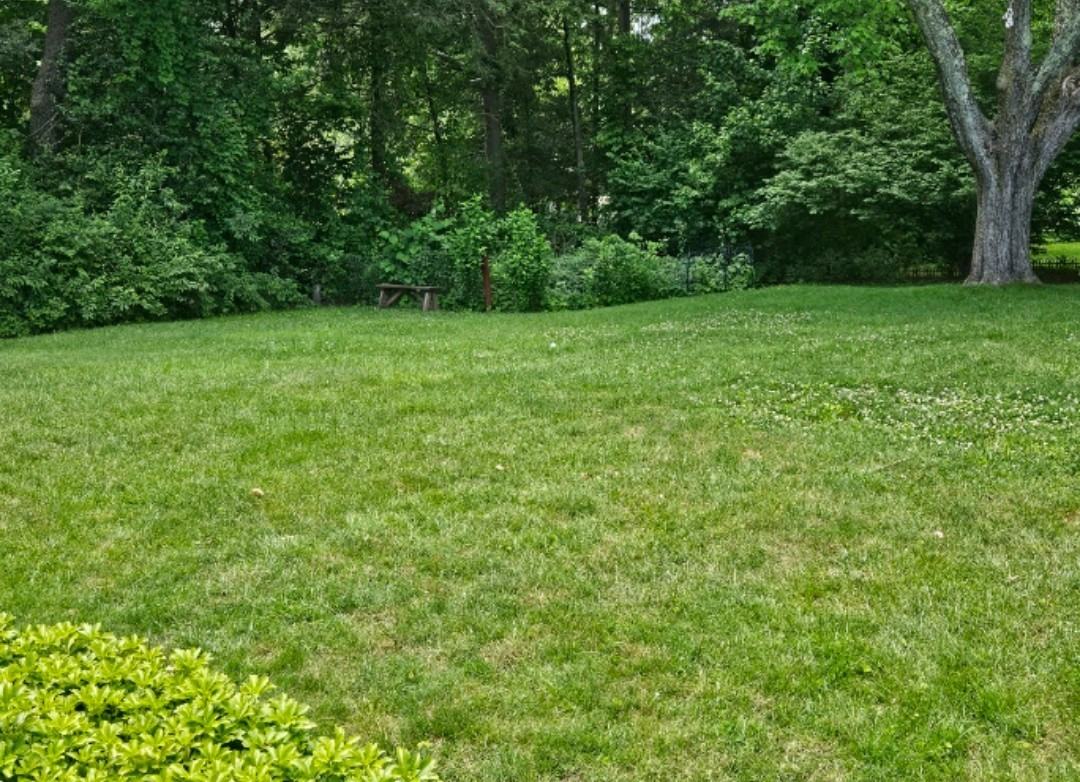 20 Condon St #NA - Photo 5 of 11